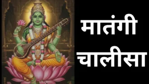 Matangi Chalisa, मातंगी चालीसा